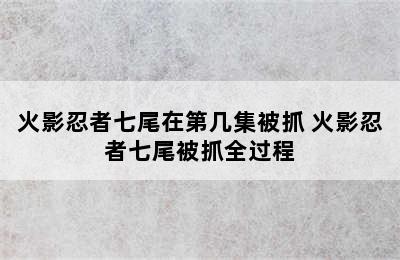 火影忍者七尾在第几集被抓 火影忍者七尾被抓全过程